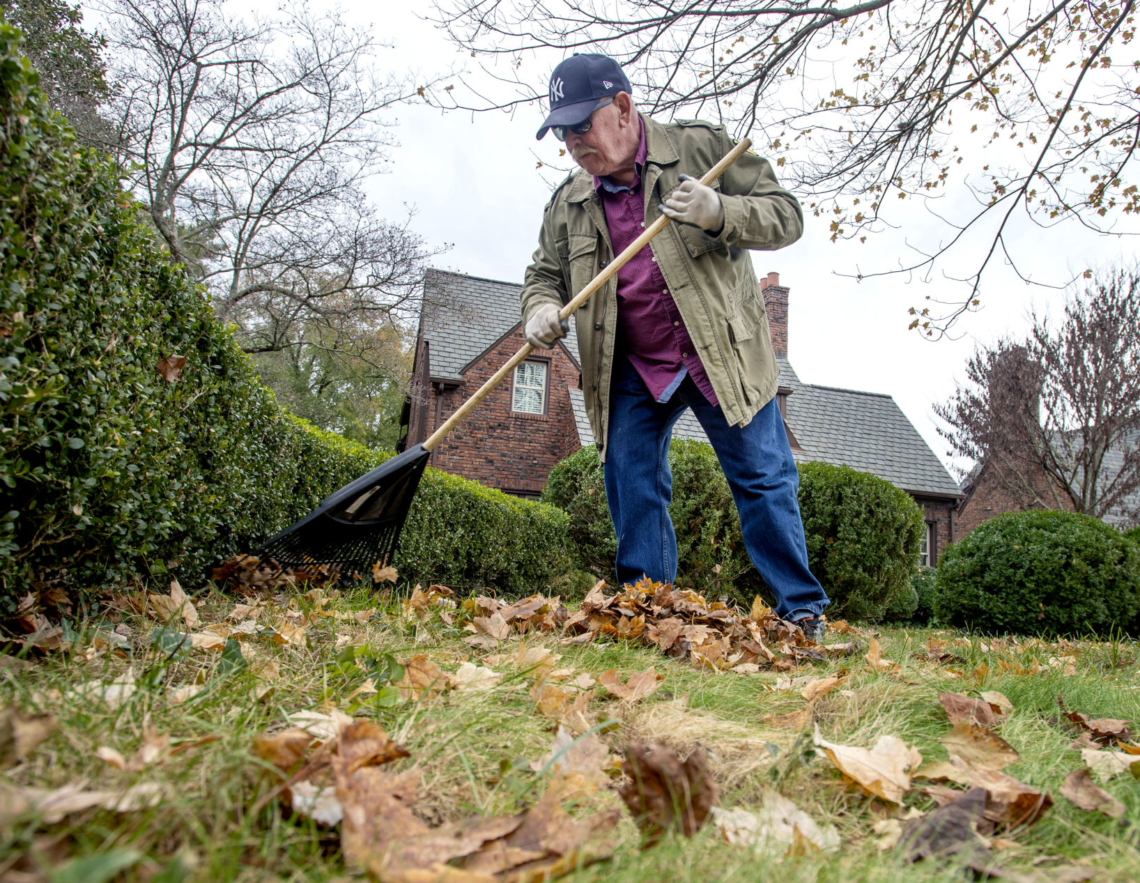 Leaf Work